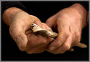 Hands