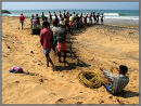 Pulling in the Nets