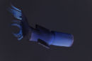Hub Whale