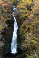 autumn, the black spout woods