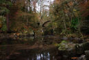 bridge over the braan