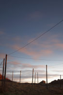 cove harbour