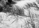 dunes, torrisdale beach