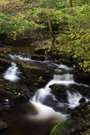 edradour burn