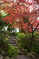 johnstone gardens