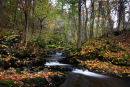 kinnaird burn