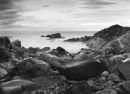 low tide, greyhope bay