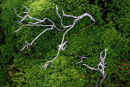 miniature landscape (3)