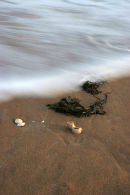 outgoing tide, tentsmuir