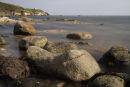 pittenweem coast