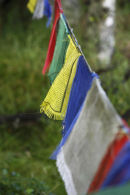 prayer flags (1)
