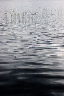 reeds, uach lochan