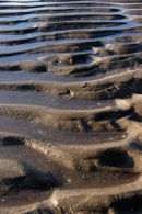 ripples, tentsmuir