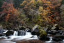 river braan, the hermitage (2)