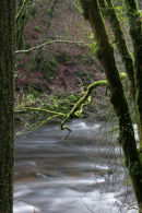 river braan, the hermitage
