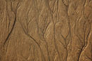 sand patterns