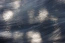 shadow in the burn