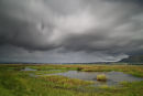 the edge of loch leven
