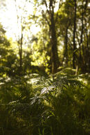 the sun breaks through