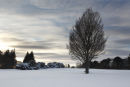 winter light fades