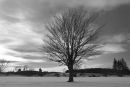winter sunset