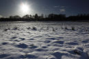 winter wonderland