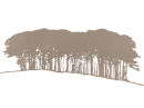 Hill Top Trees - Taupe (Code HTT2 - T)