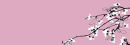 Pink Blossom - Code PB1