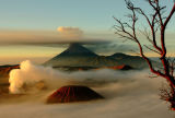 MOUNT BROMO
