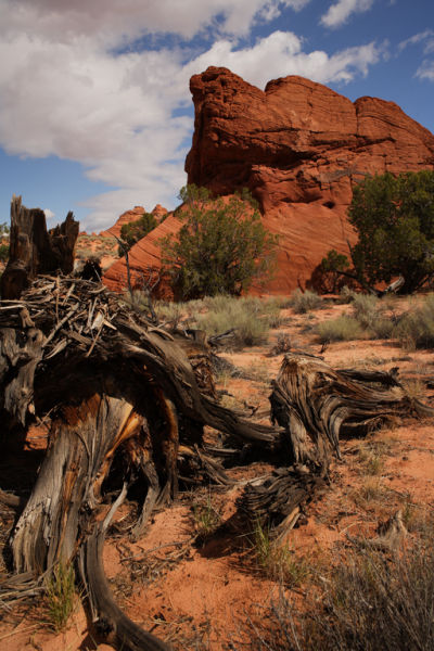 Coyote Buttes South 