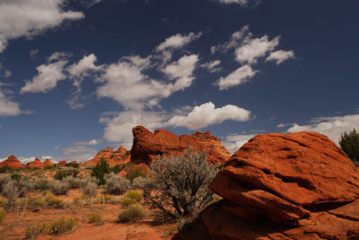 Coyote Buttes South 
