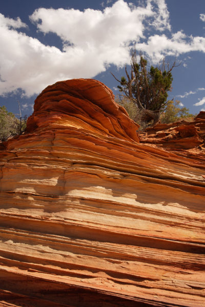 Coyote Buttes South 