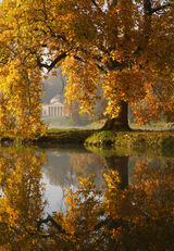 Autumn Colours Stourhead, Wiltshire (National Trust)