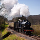 88, Nethercott