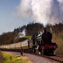 4936, Roebuck Farm