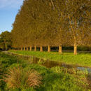 River Allen