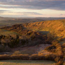 Eggardon Hill Golden Hour
