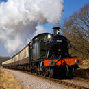 5553, Leigh Woods