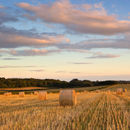 Hay Bales (2)