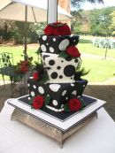 Dalmation