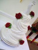 Jenny's Roses