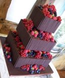 Square with Berries