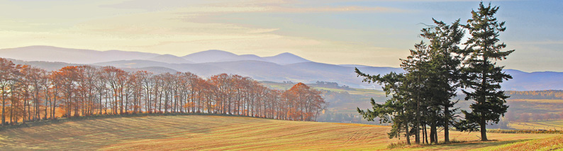 Deeview Designs Greetings Cards Deeview Designs Greetings Cards