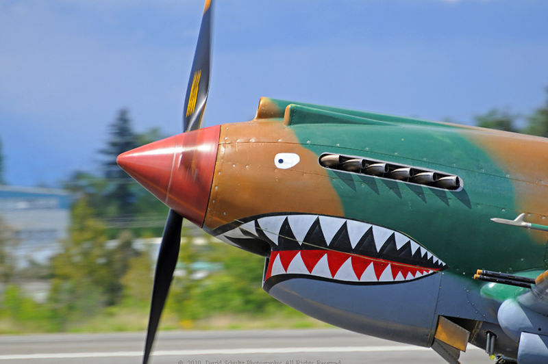 Flying Tiger Nose Art