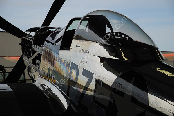 P-51 Hell-er Bust
