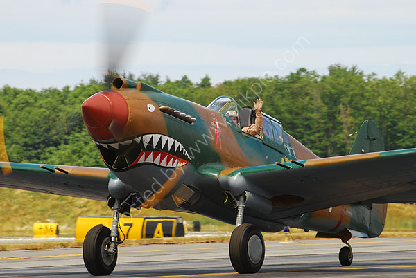 Flying Tiger
