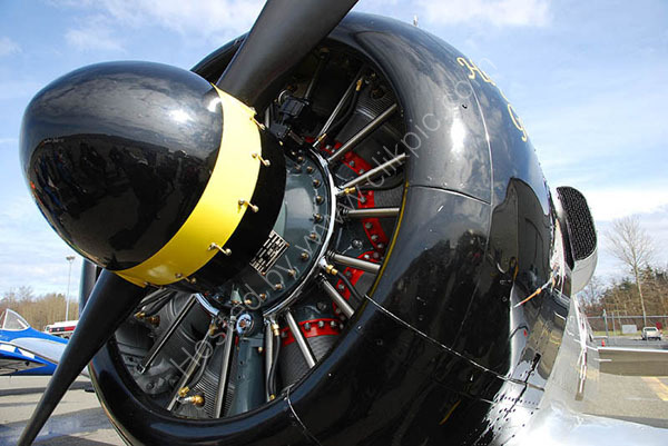 T-6 Texan Pratt & Whitney Radial