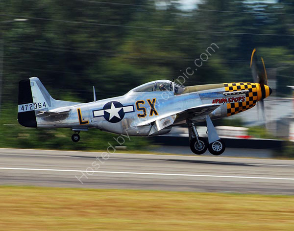 P-51 UPUPA EPOPS