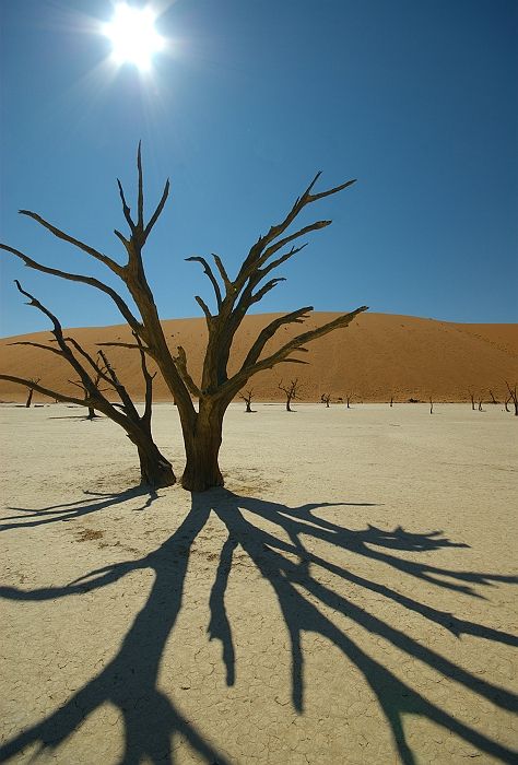 Dead Vlei Shadows