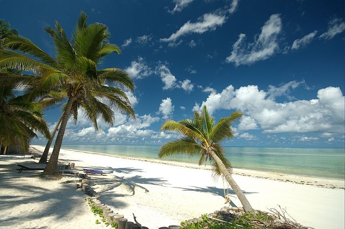 Tropical Paradise
